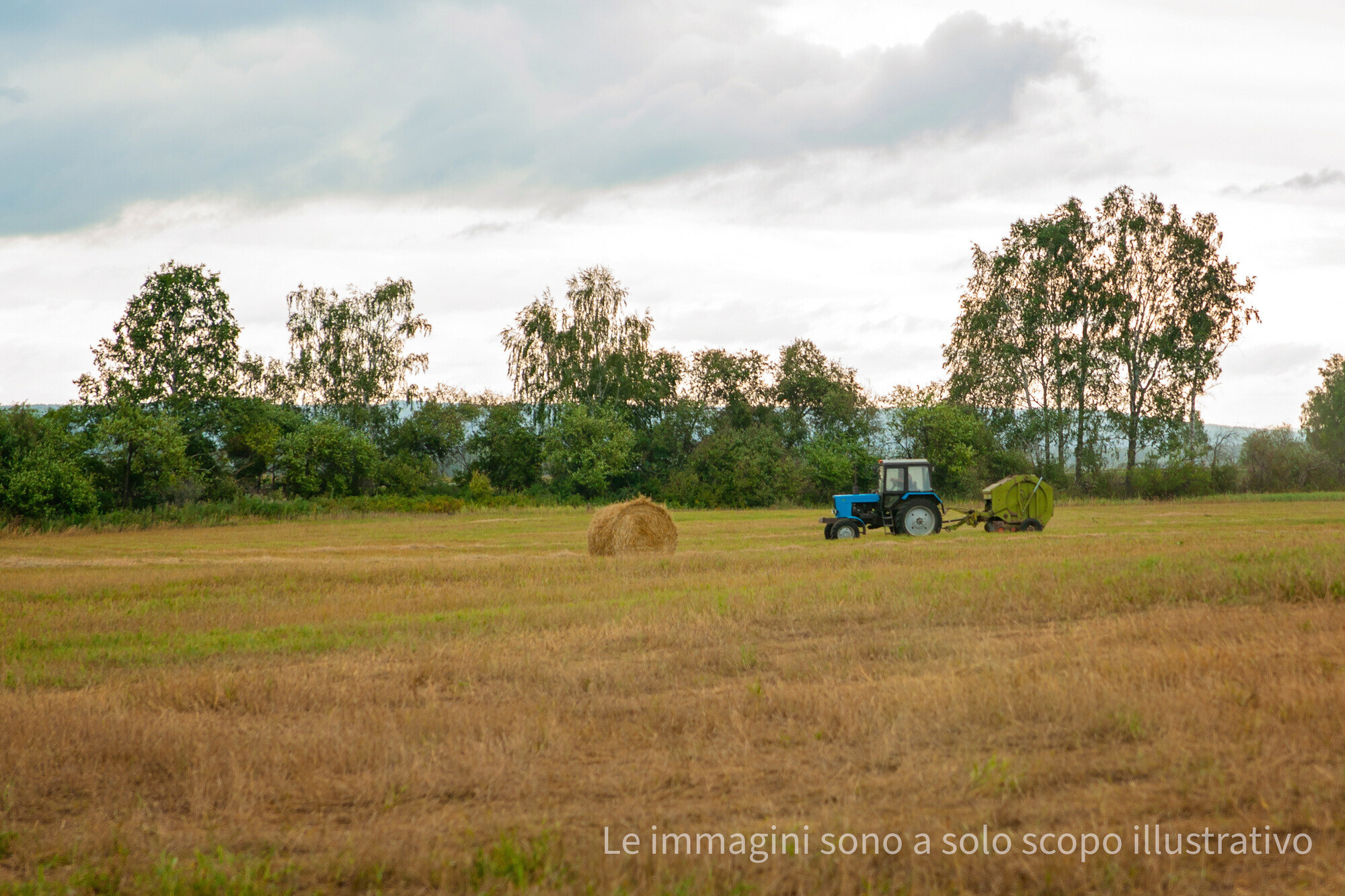 a-tractor-is-driving-across-the-field-mowing-t.jpg