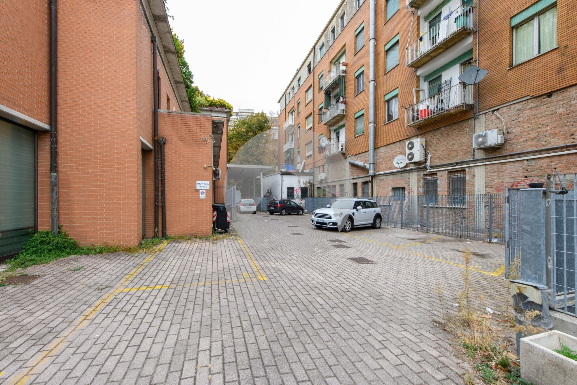 EPB_1131.jpg