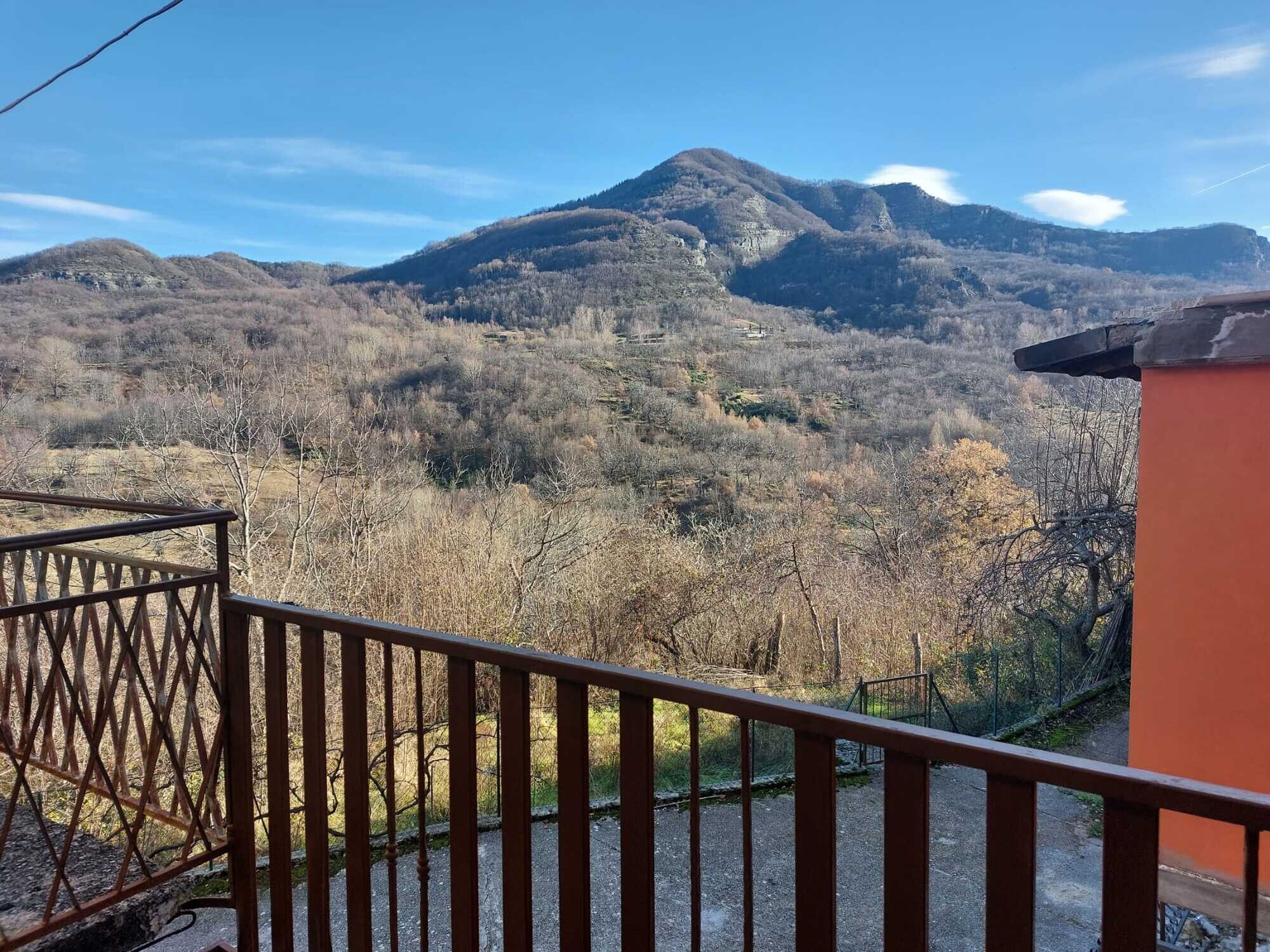 panorama
