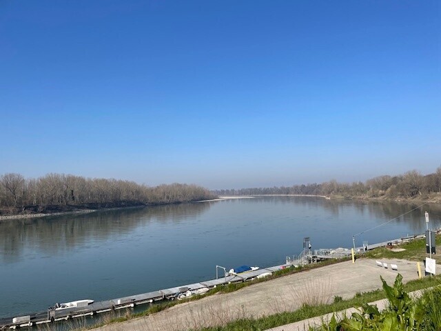 IMG_2470.jpg