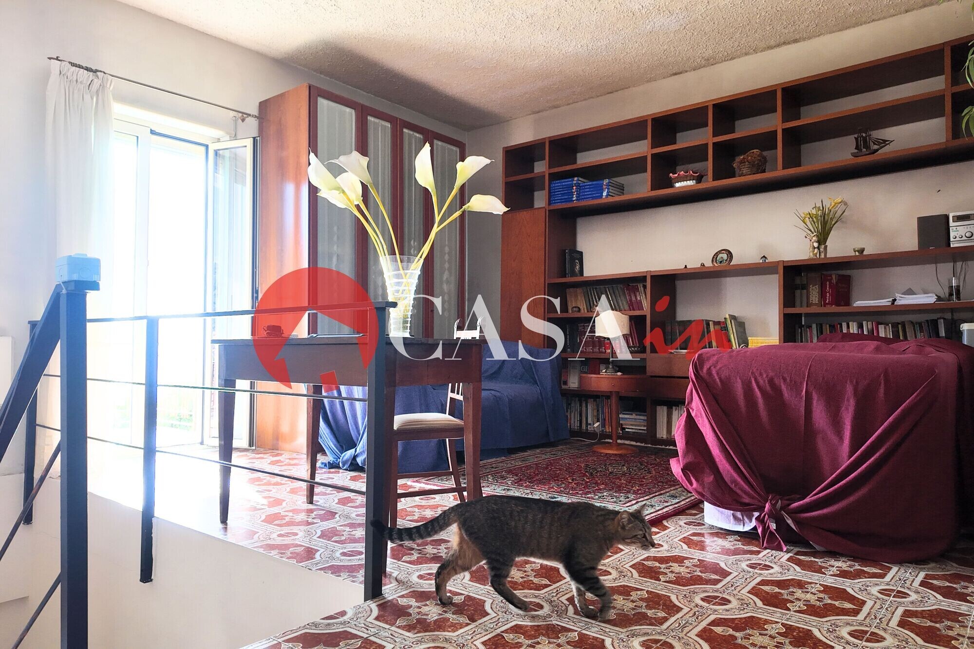 Zona living