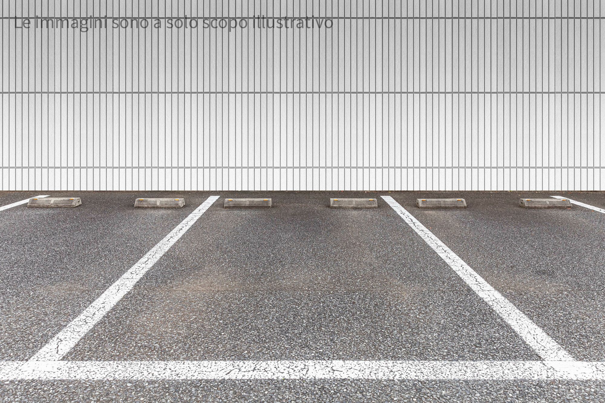 AdobeStock_364024465.jpg