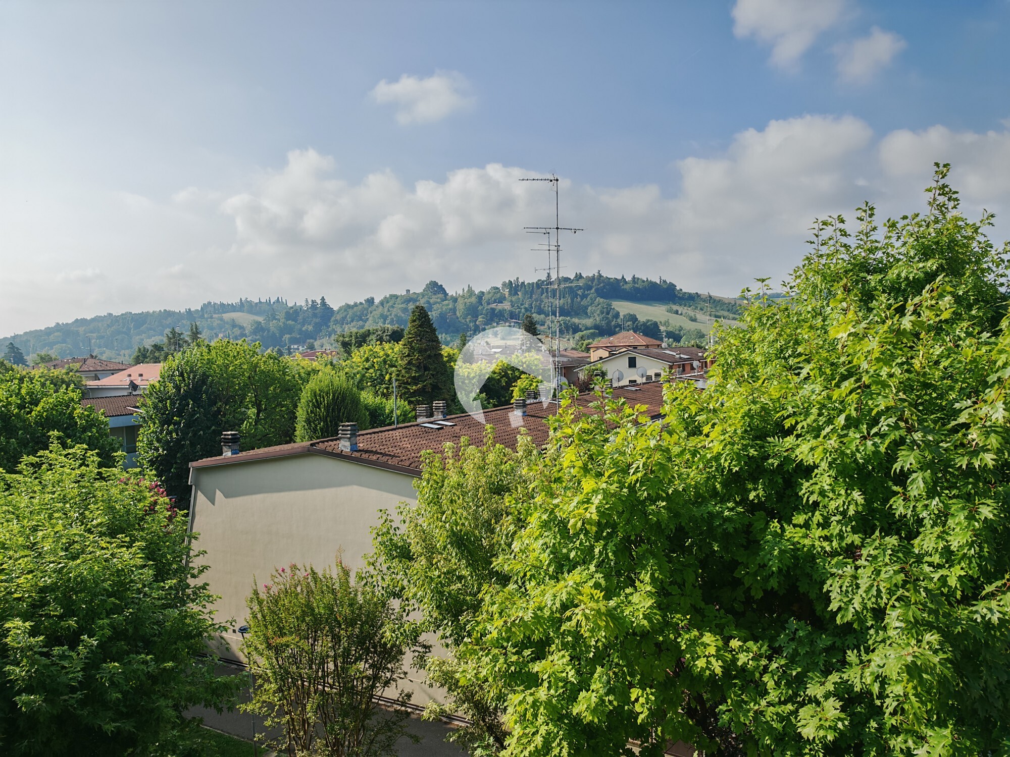 IMG_20250717_091338