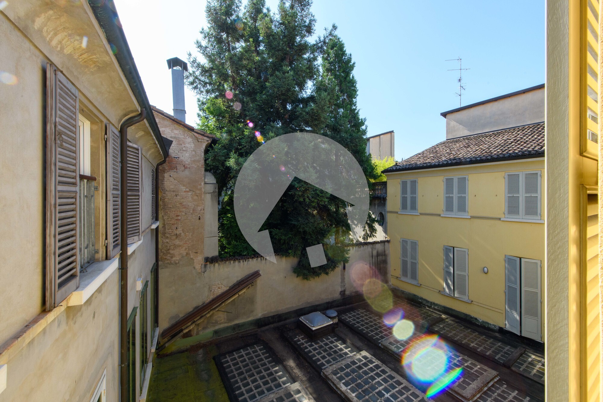 vista camera
