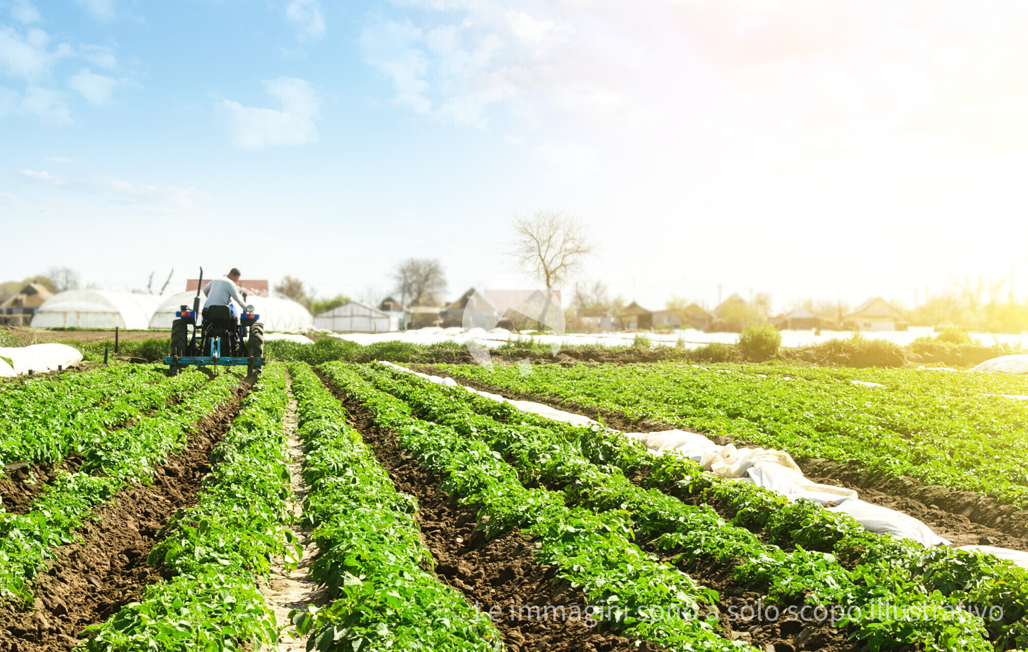 farm-2025-03-18-18-41-08-utc