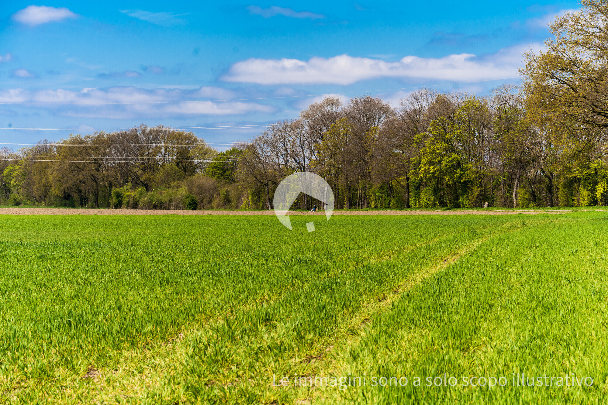 green-farmers-field-rural-landscape-2025-01-09-08-21-24-utc