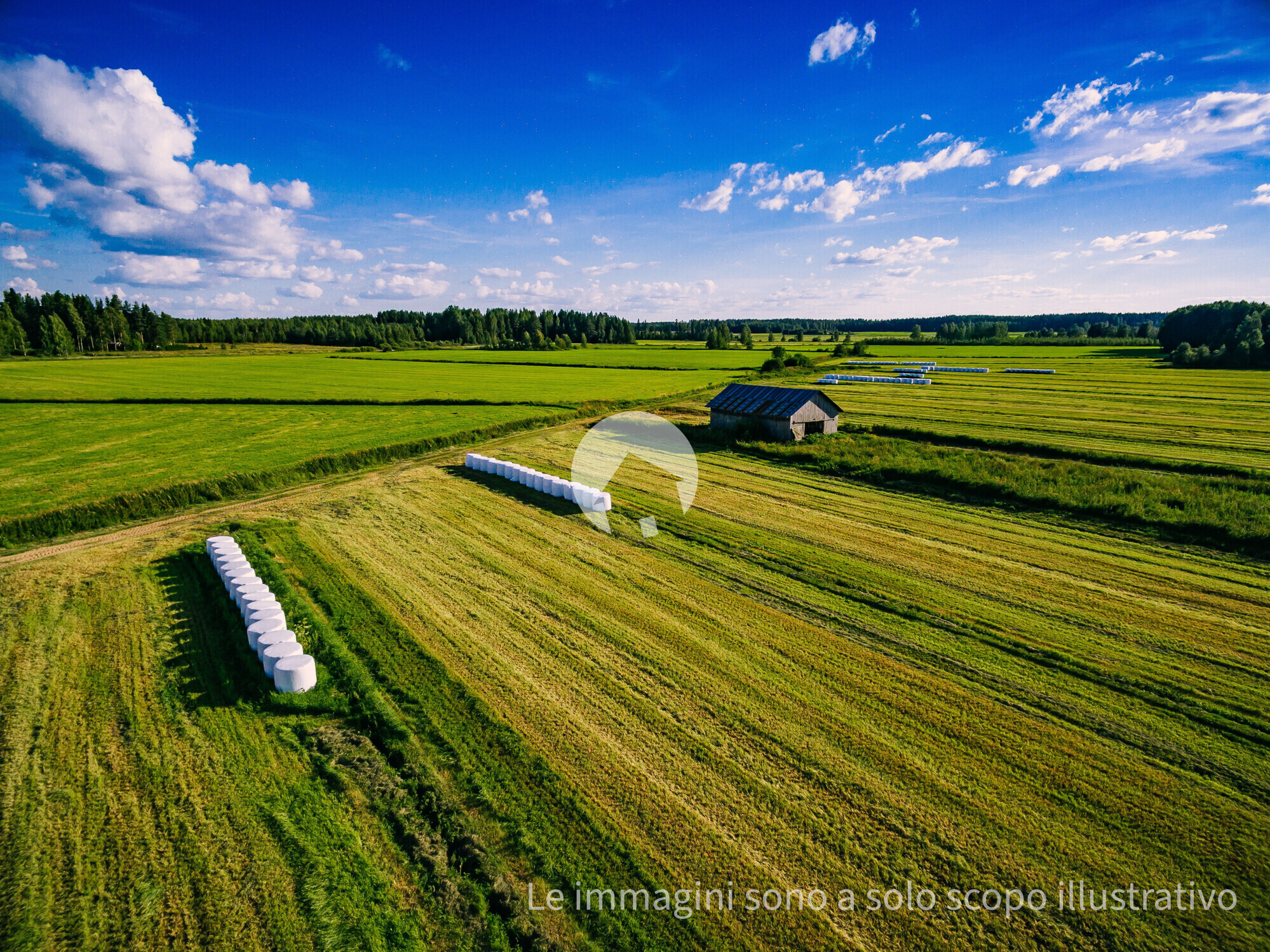 aerial-view-of-green-field-harvest-with-old-wood-b-2025-03-18-15-24-45-utc