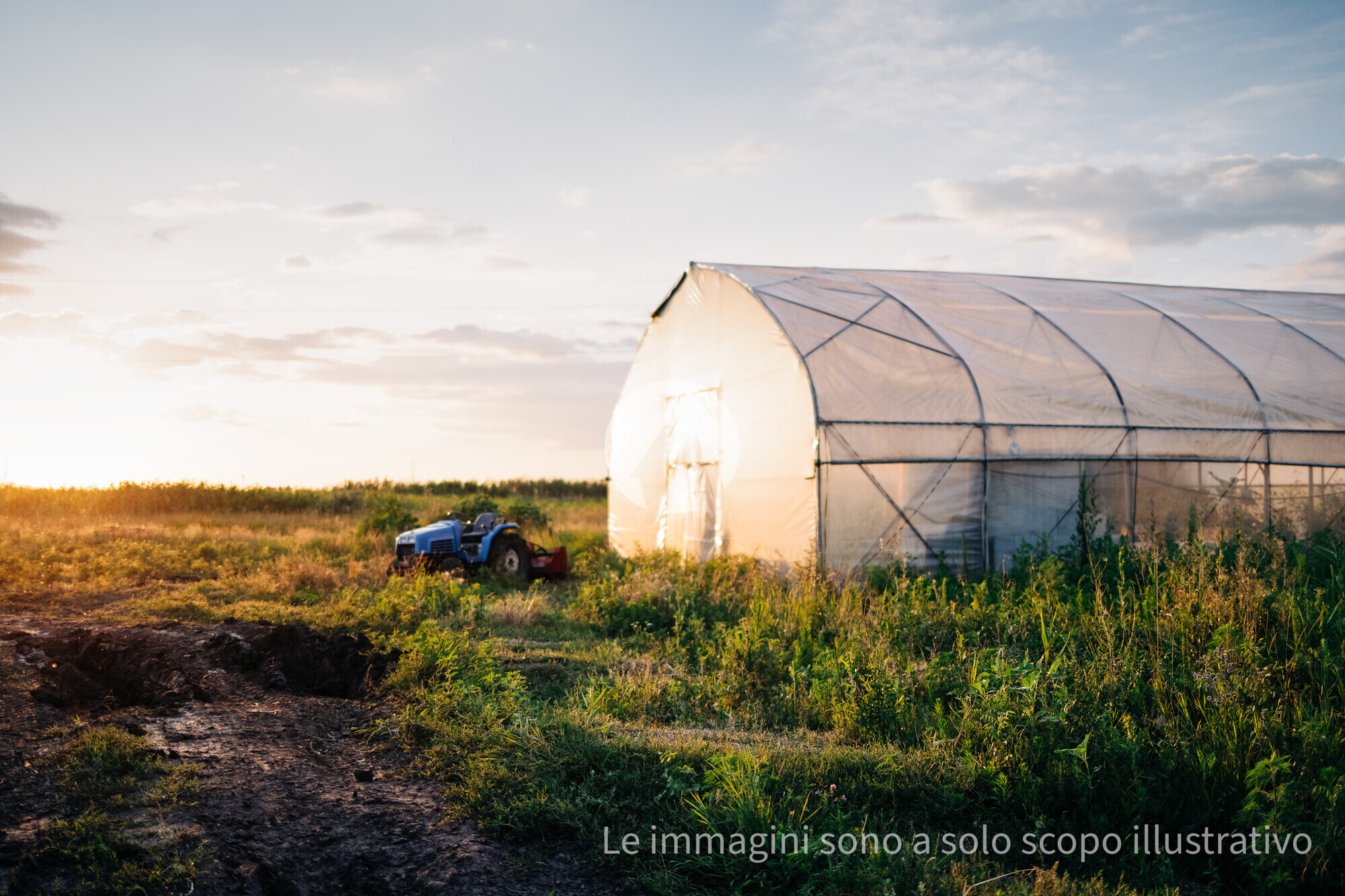an-agricultural-landscape-with-a-greenhouse-used-f-2025-01-09-12-11-56-utc