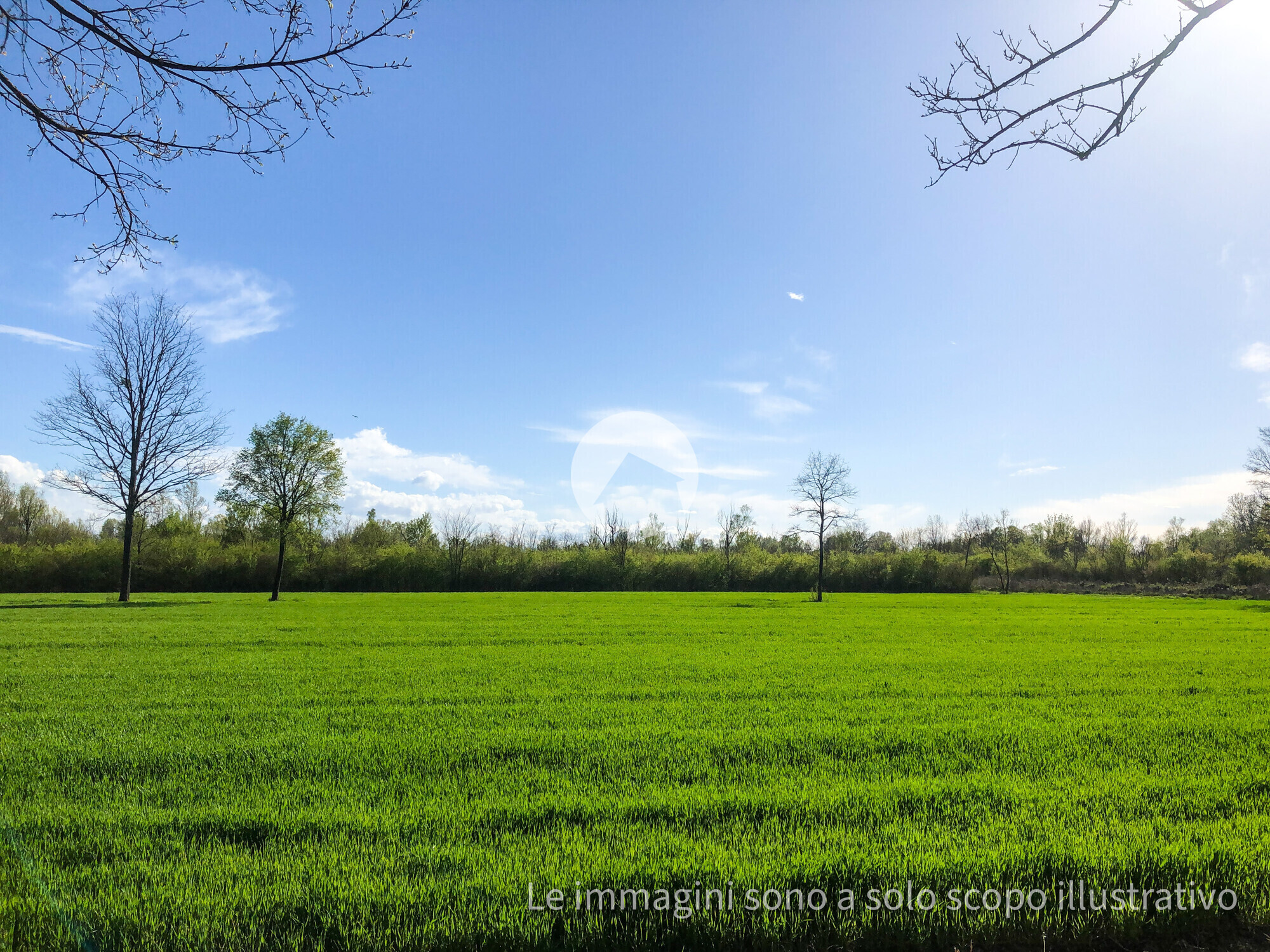 green-field-2025-01-09-01-47-30-utc