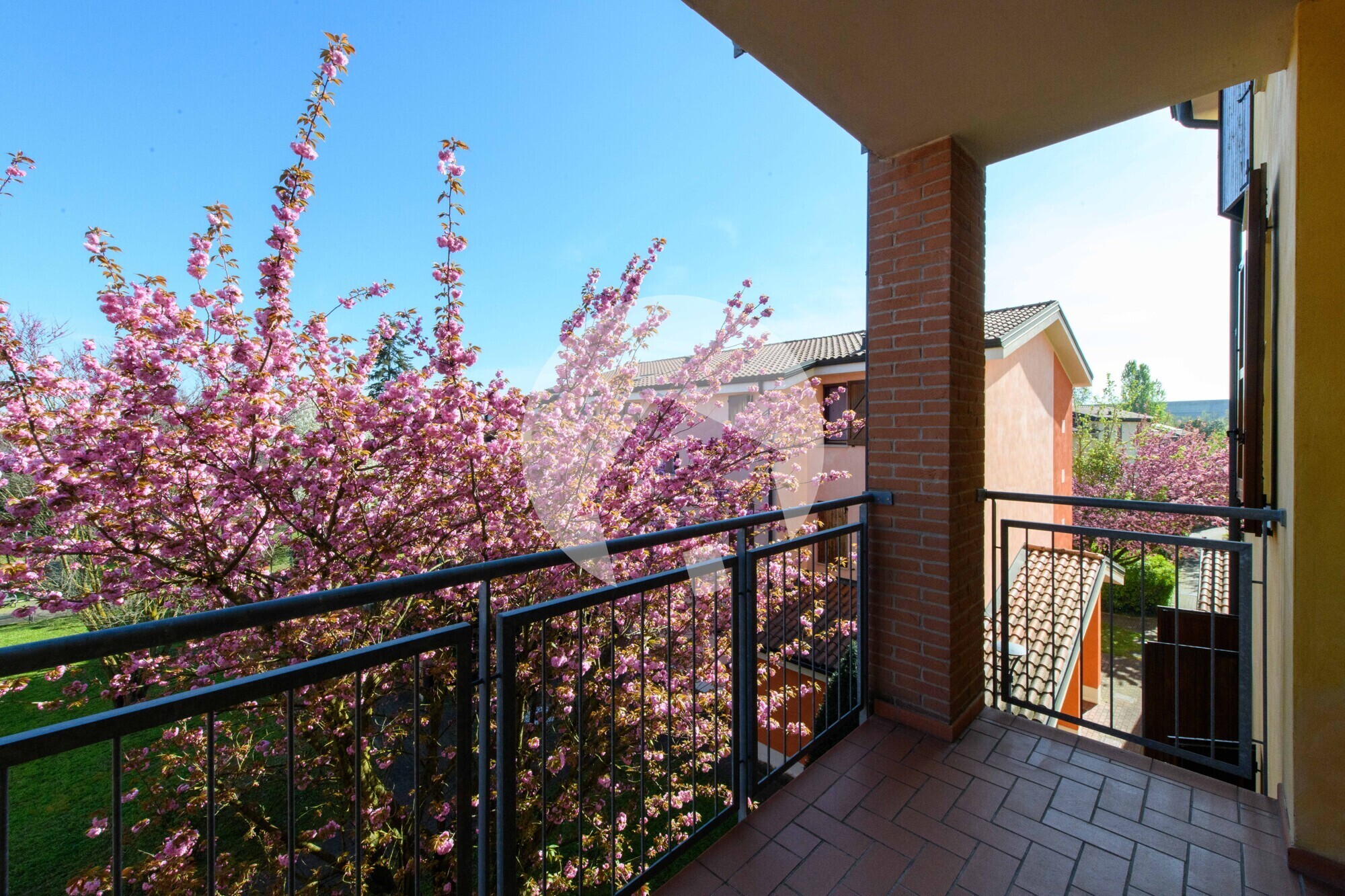 Terrazzo