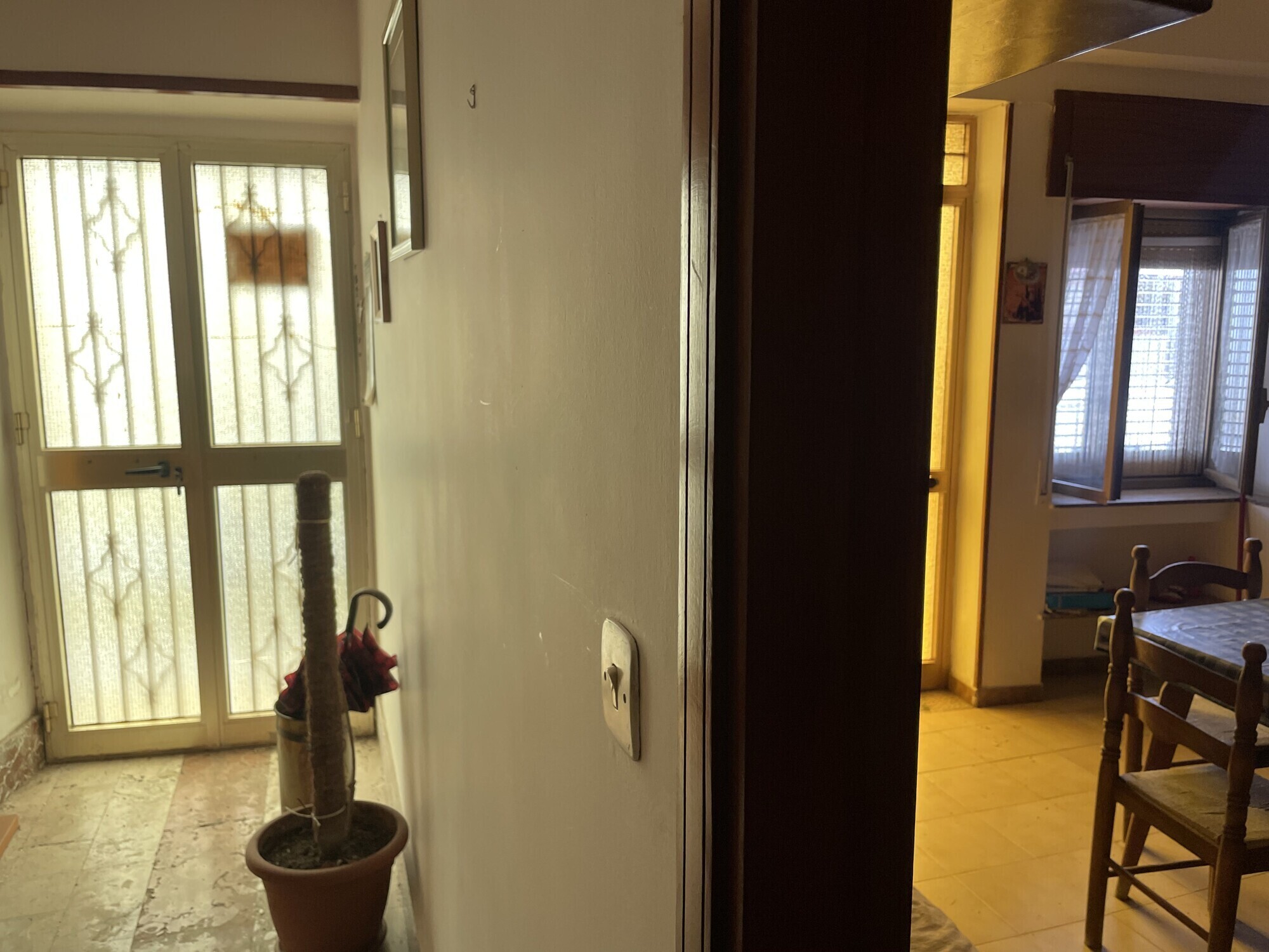 Ingresso