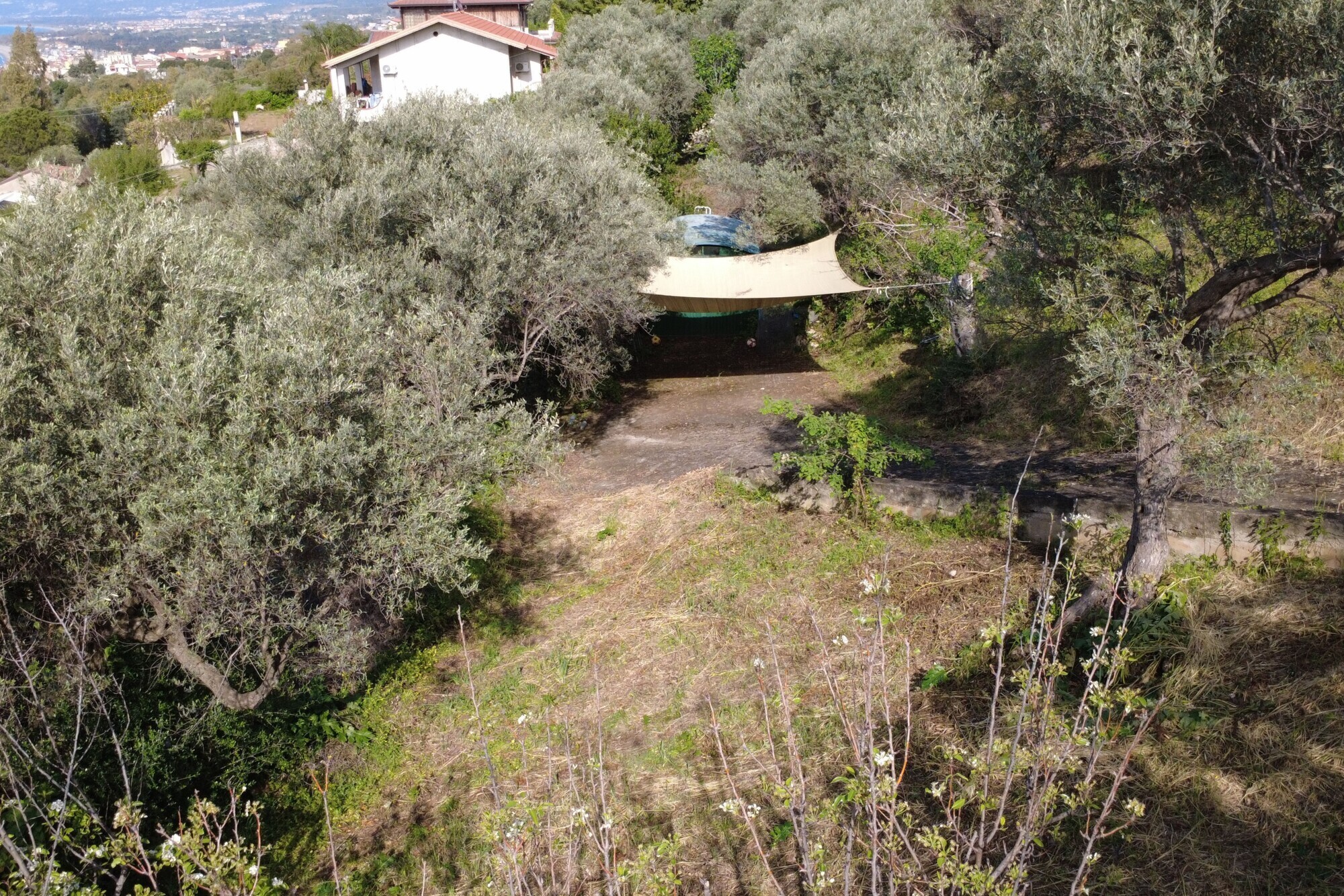 Porzione di terreno