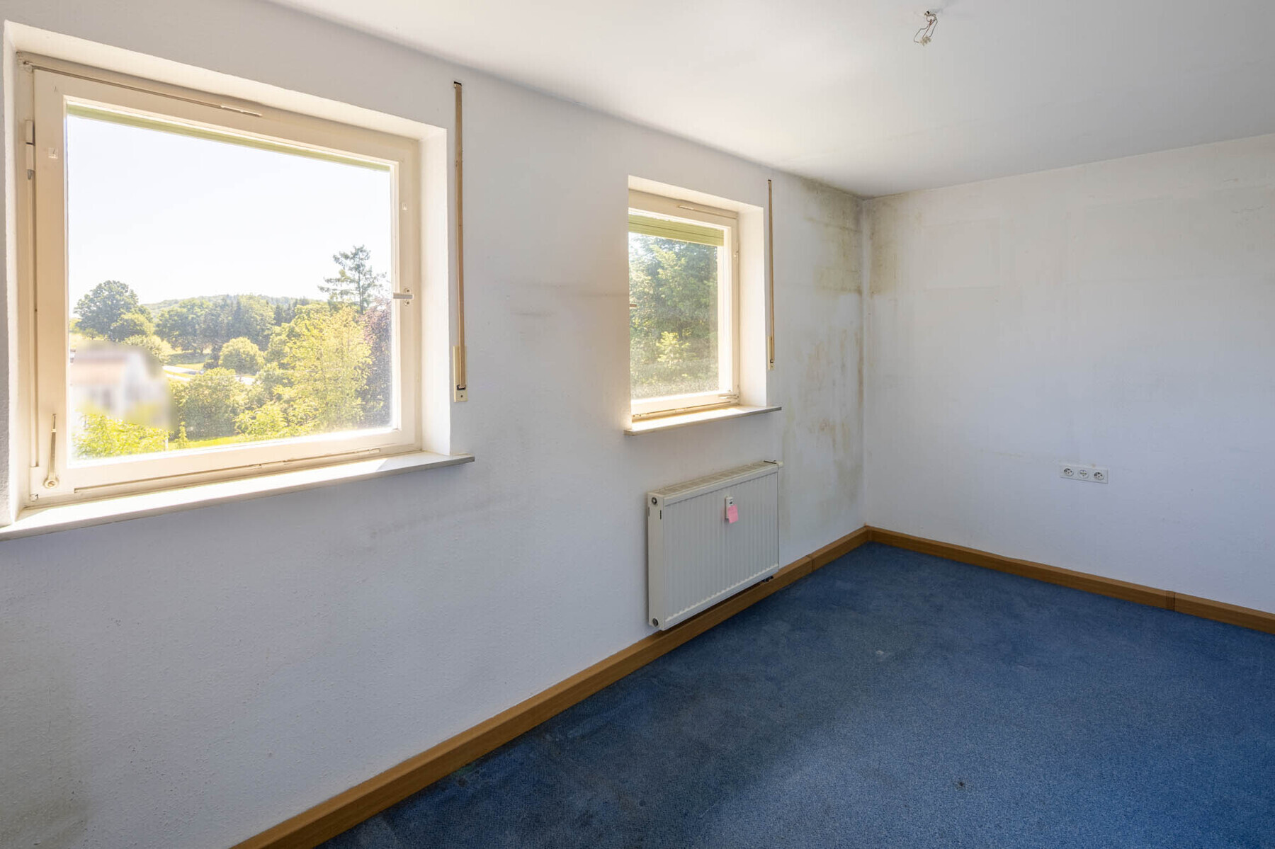 Immobilienbild