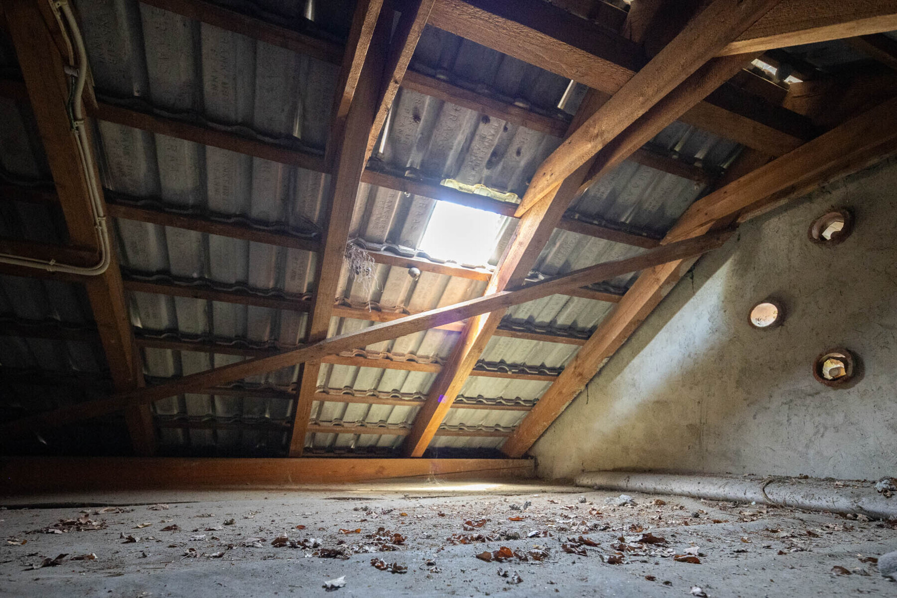 Immobilienbild