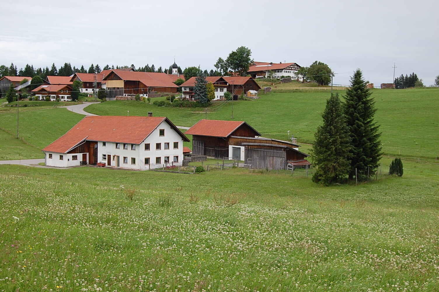 Blick vom eigenen Grünland aus