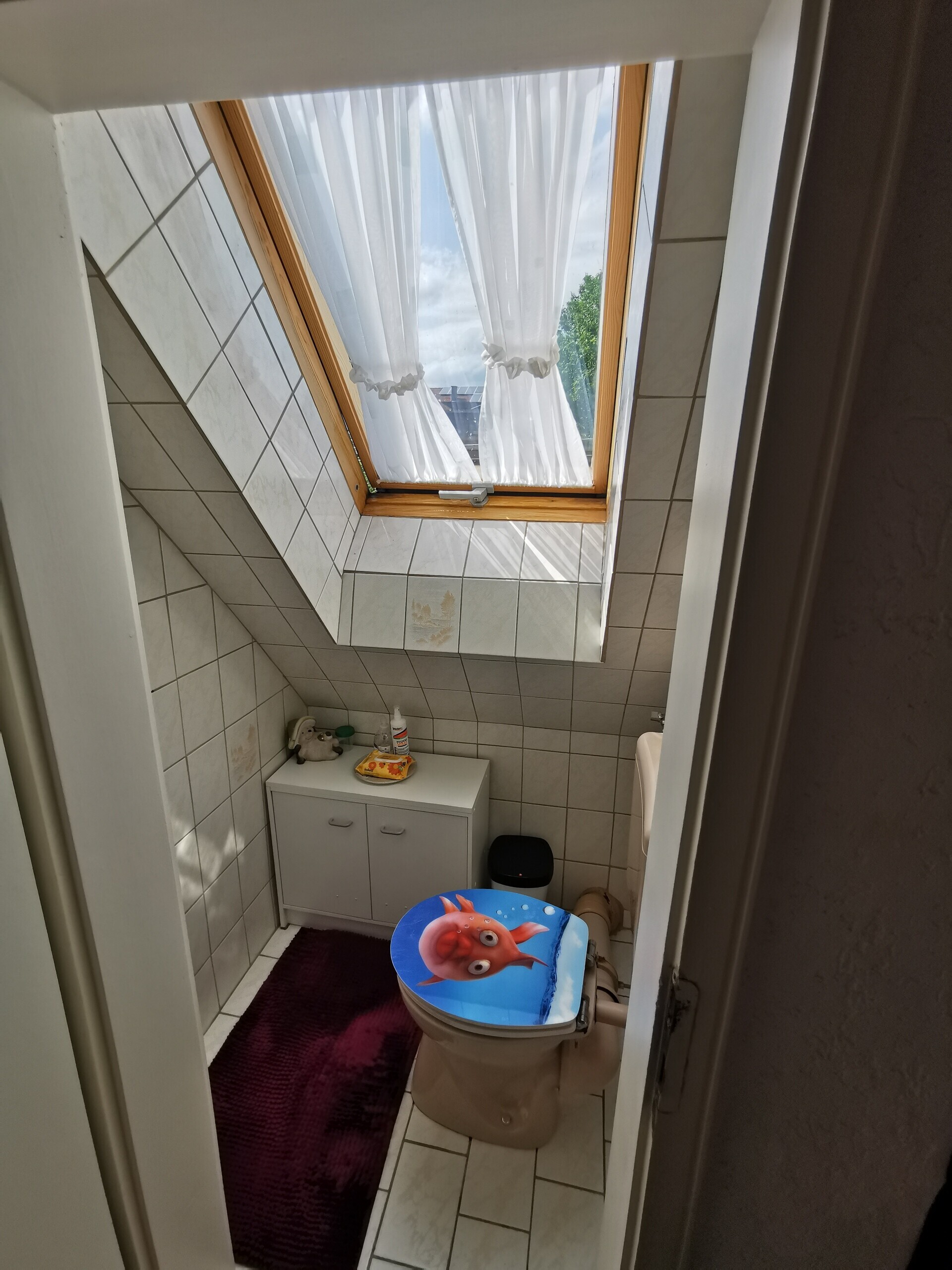 WC DG