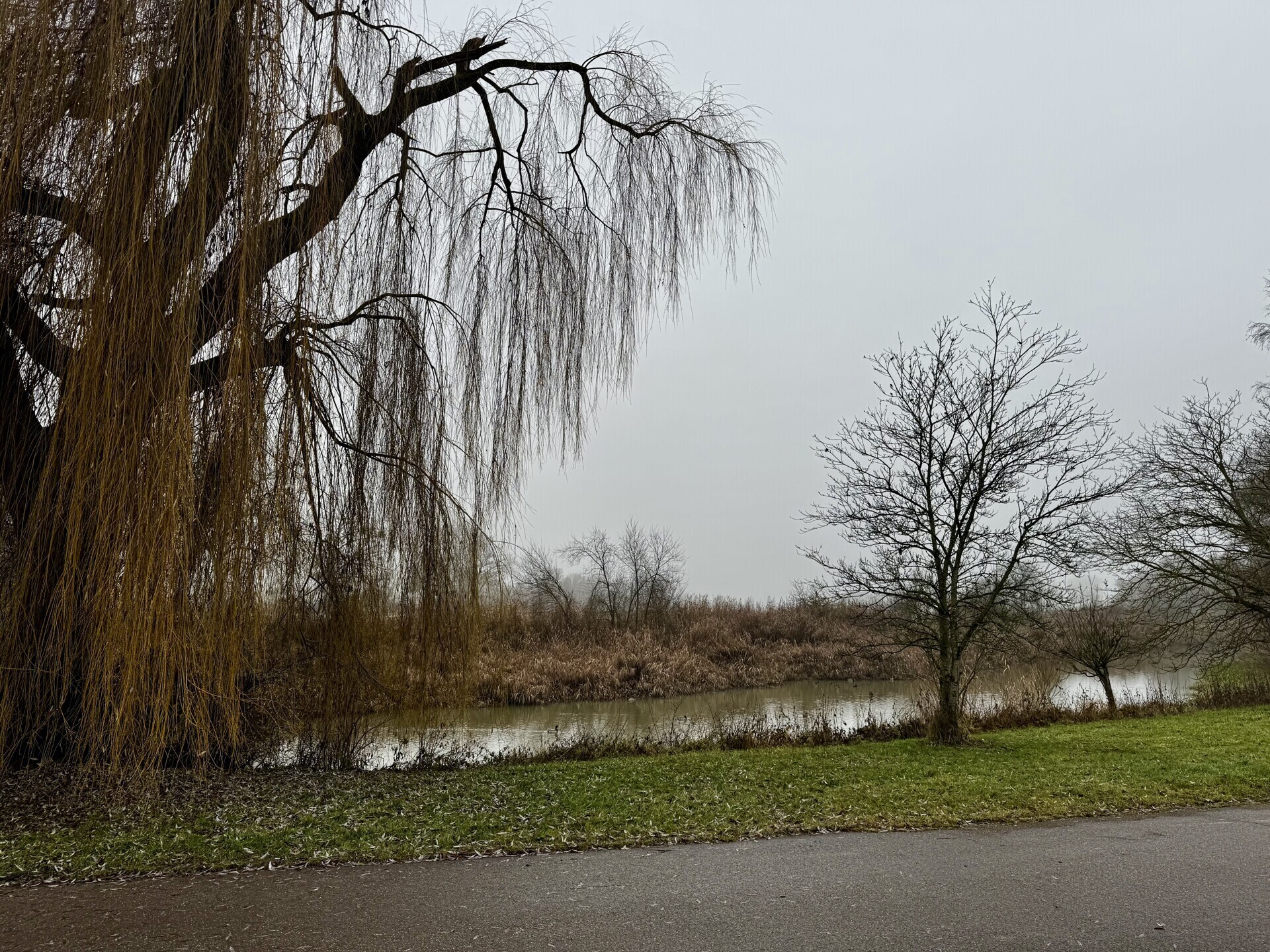 Ussel hinter dem Grundstück