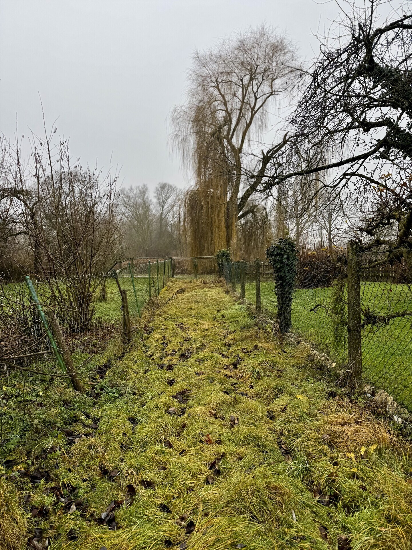 Zufahrt Garten
