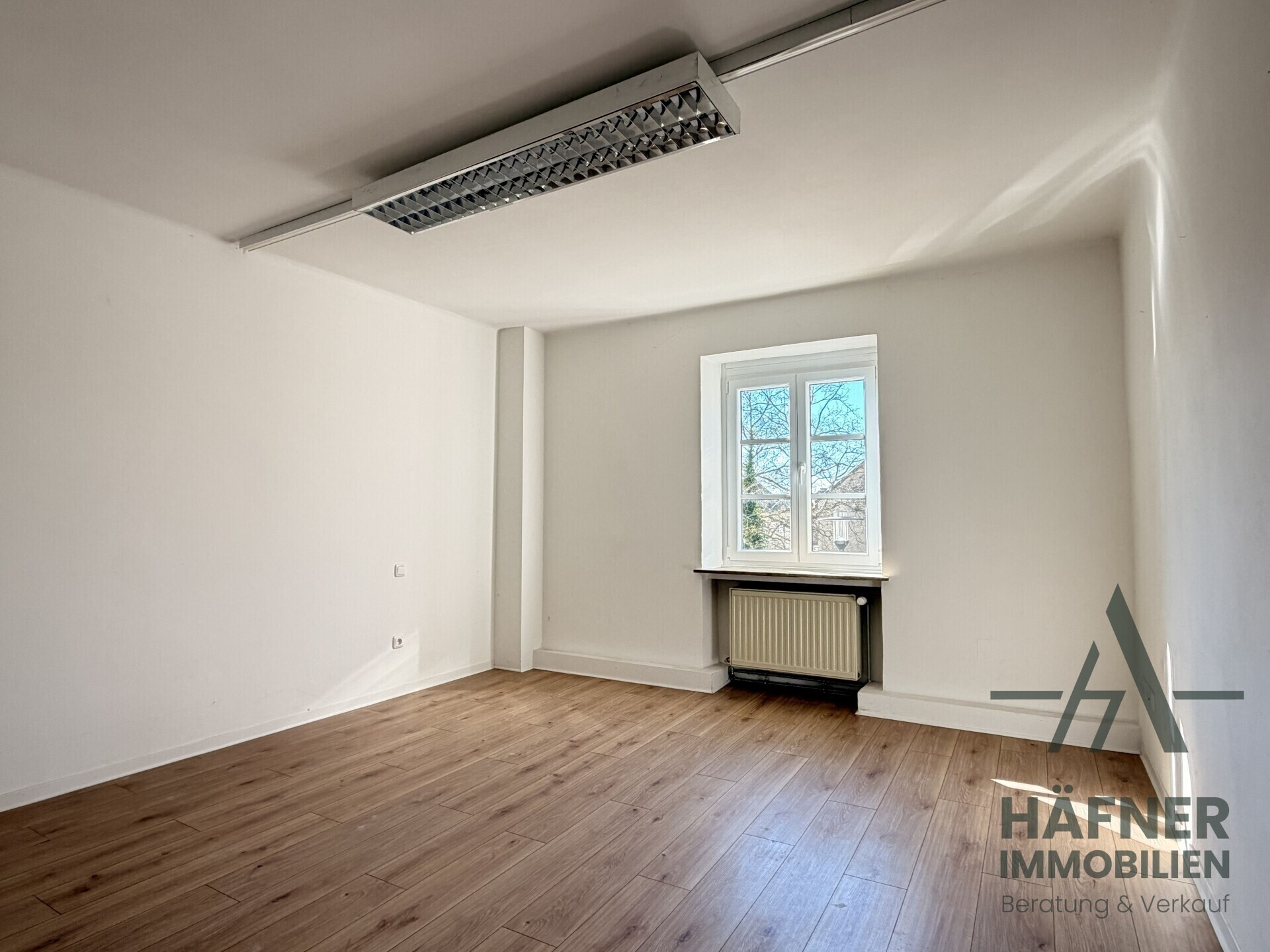 Büro_3