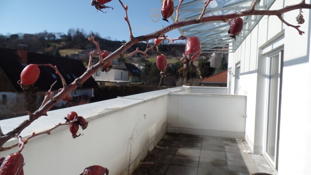 1- Terrasse-Ausblick