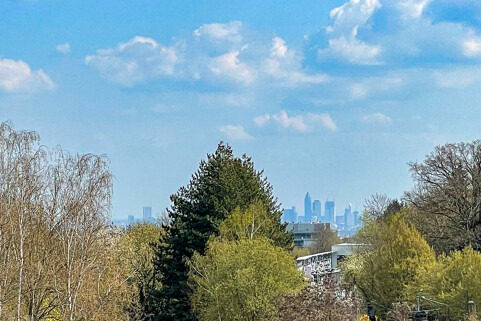 Kronberg Penthouse Skylineblick (14)