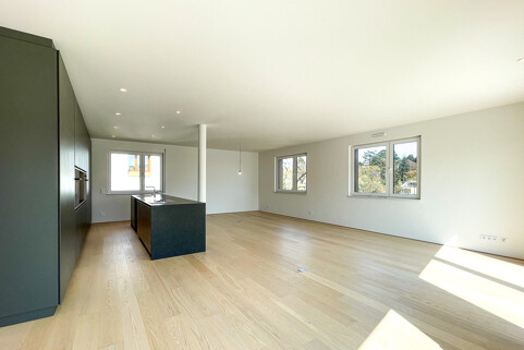 Kronberg Penthouse Skylineblick (6)