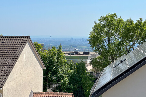 DHH Falkenstein-12