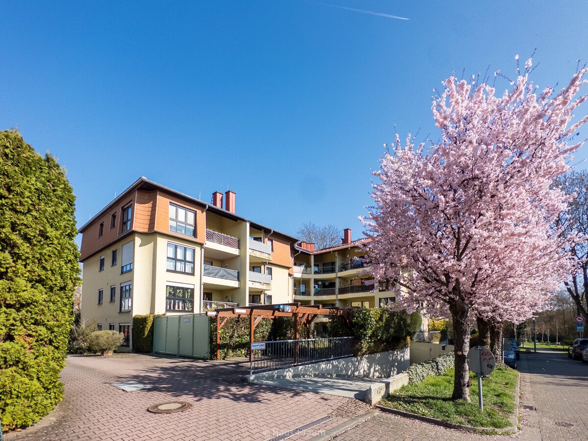 Kelkheim Stadtpark Sindlinger Wiesen-20