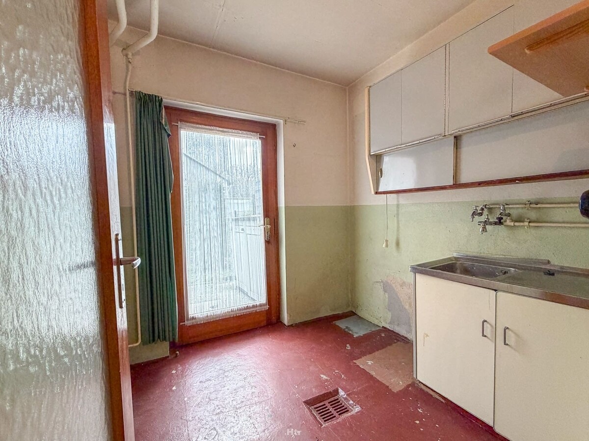 Koe RMH am Waldrand-22