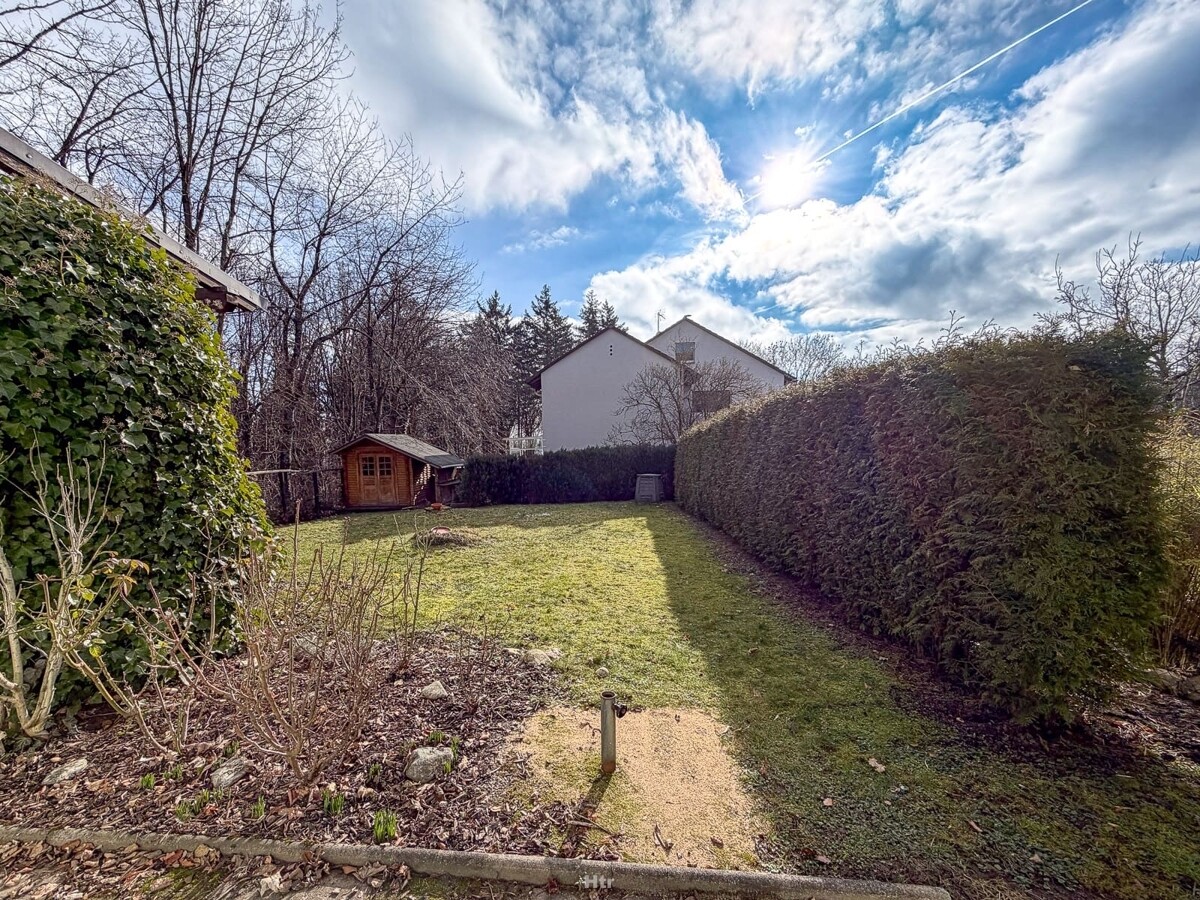 Koe RMH am Waldrand-03