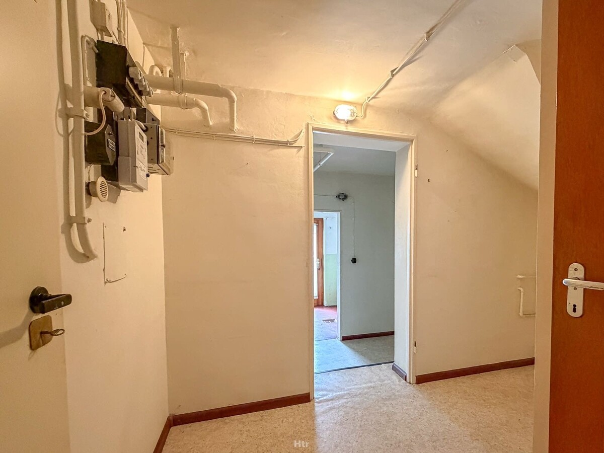 Koe RMH am Waldrand-17