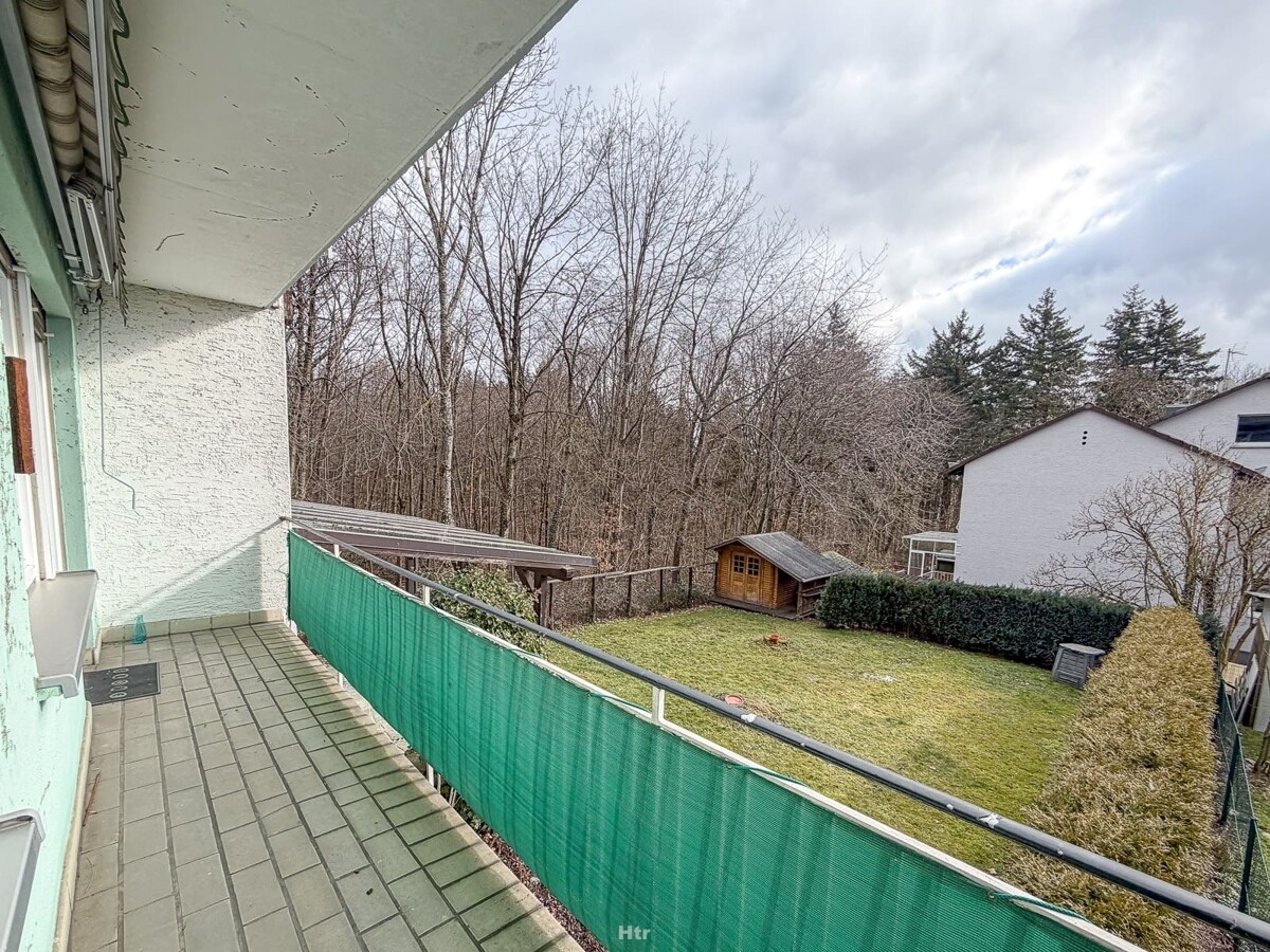 Koe RMH am Waldrand-09