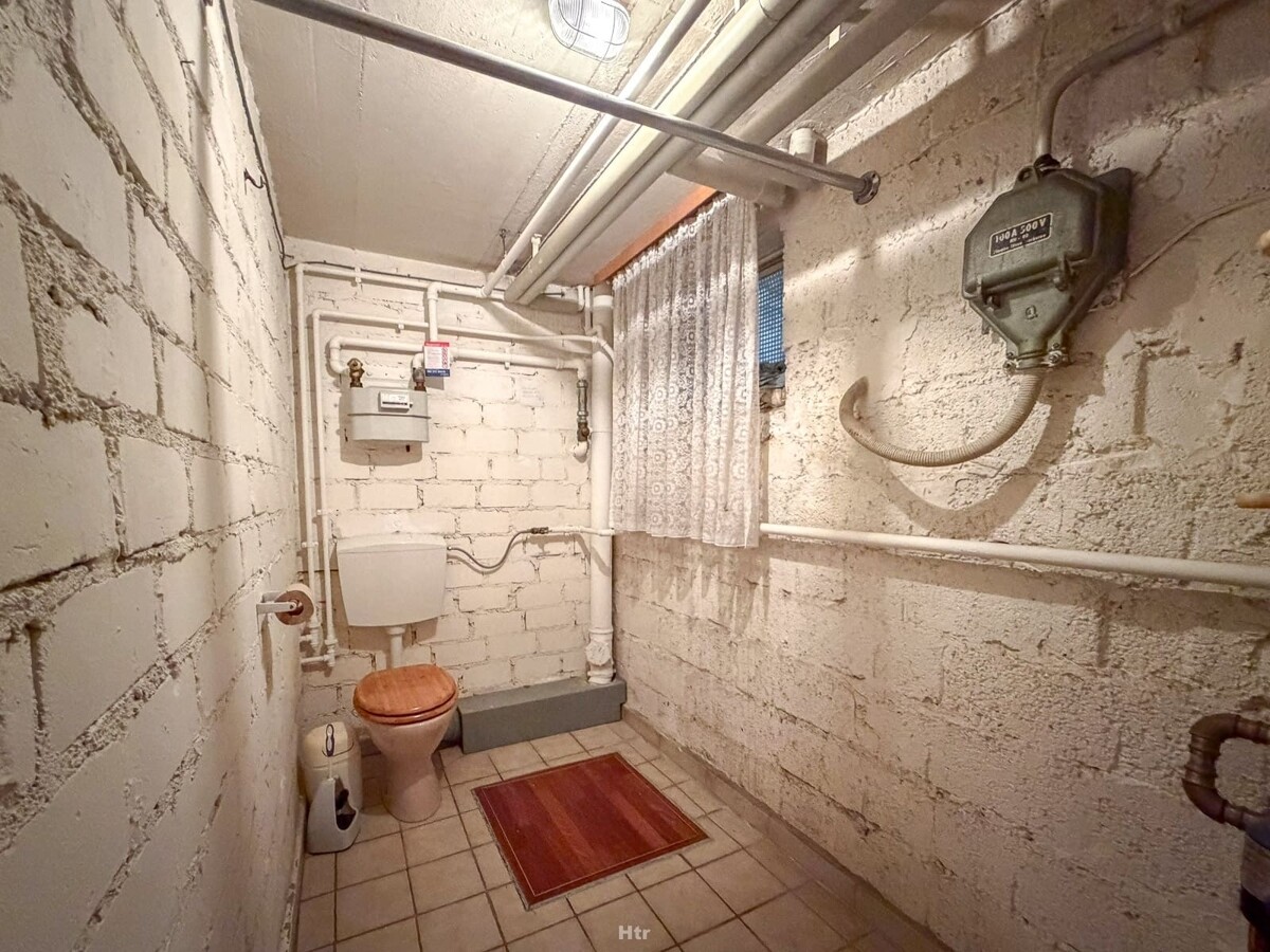 Koe RMH am Waldrand-18