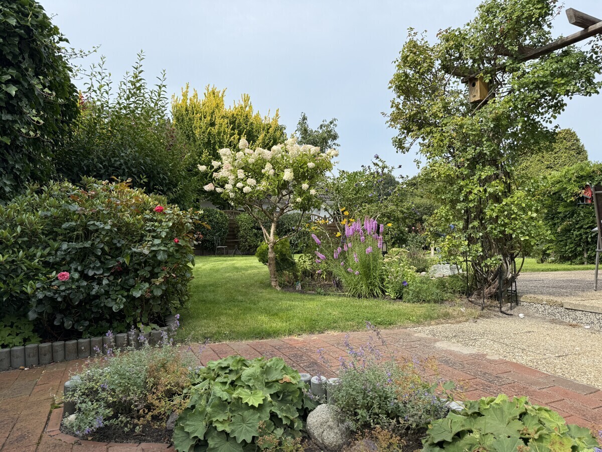 Garten im Sommer