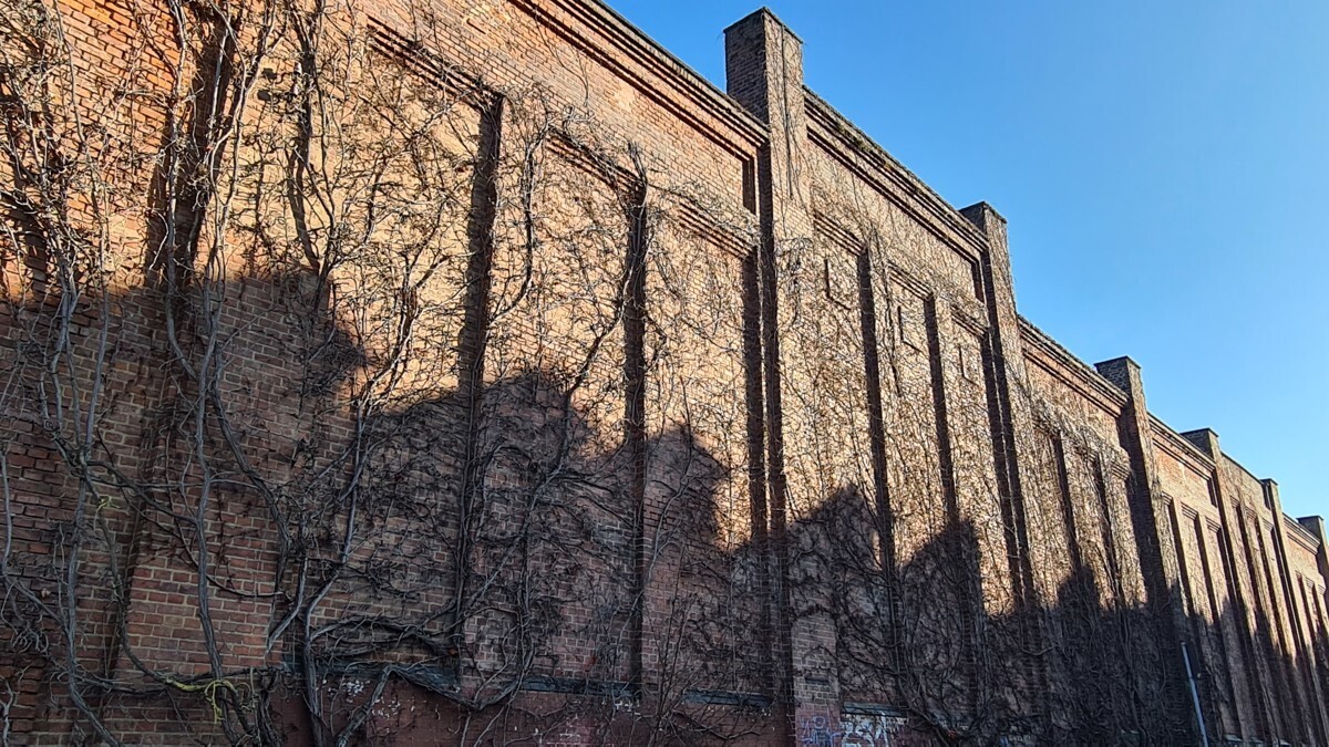 Außenfotos Gelände