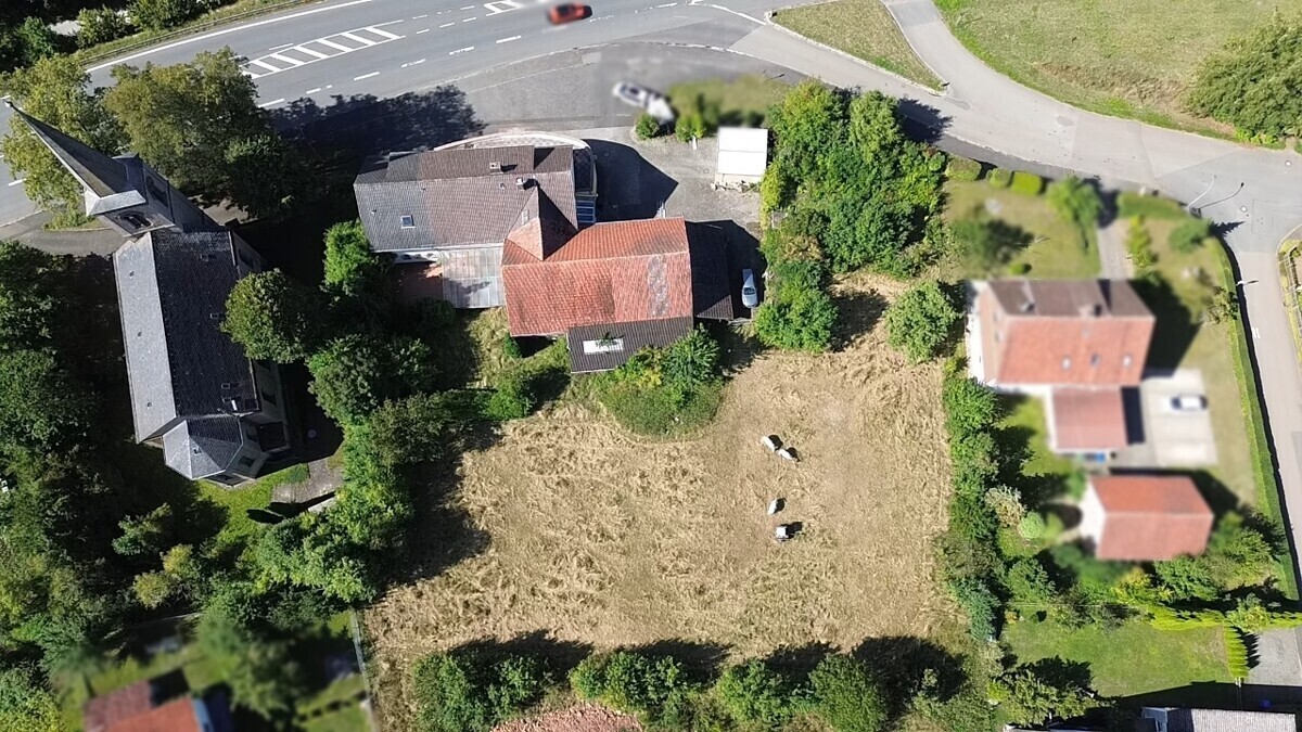 Vogelperspektive & Wiese