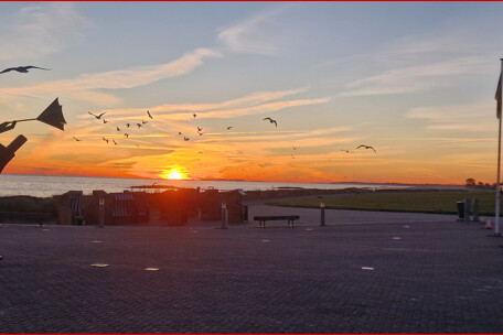 Ostsee vor der Haustür
