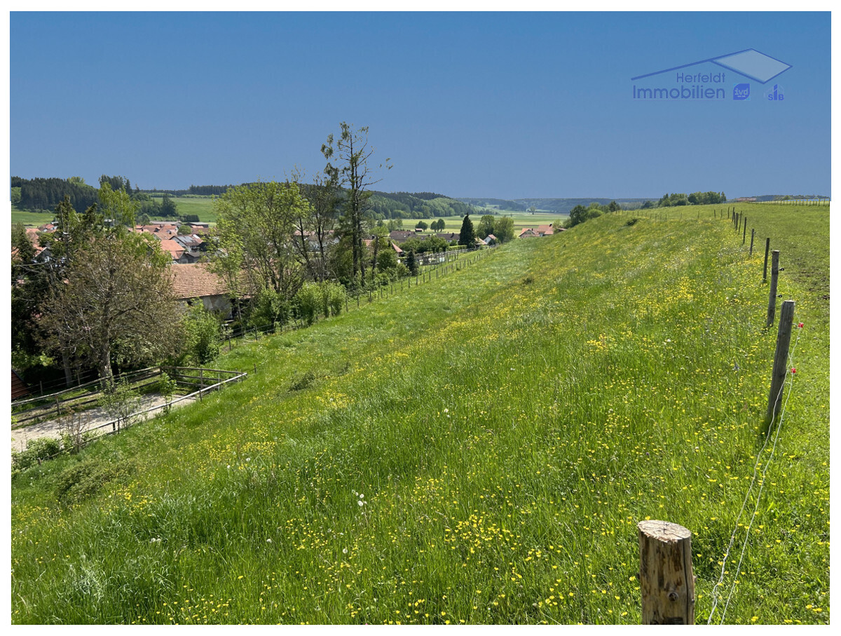 Toller Ortsrandblick