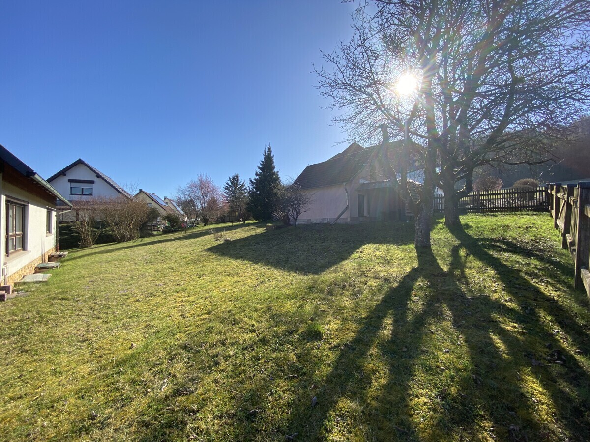 Blick in den Garten