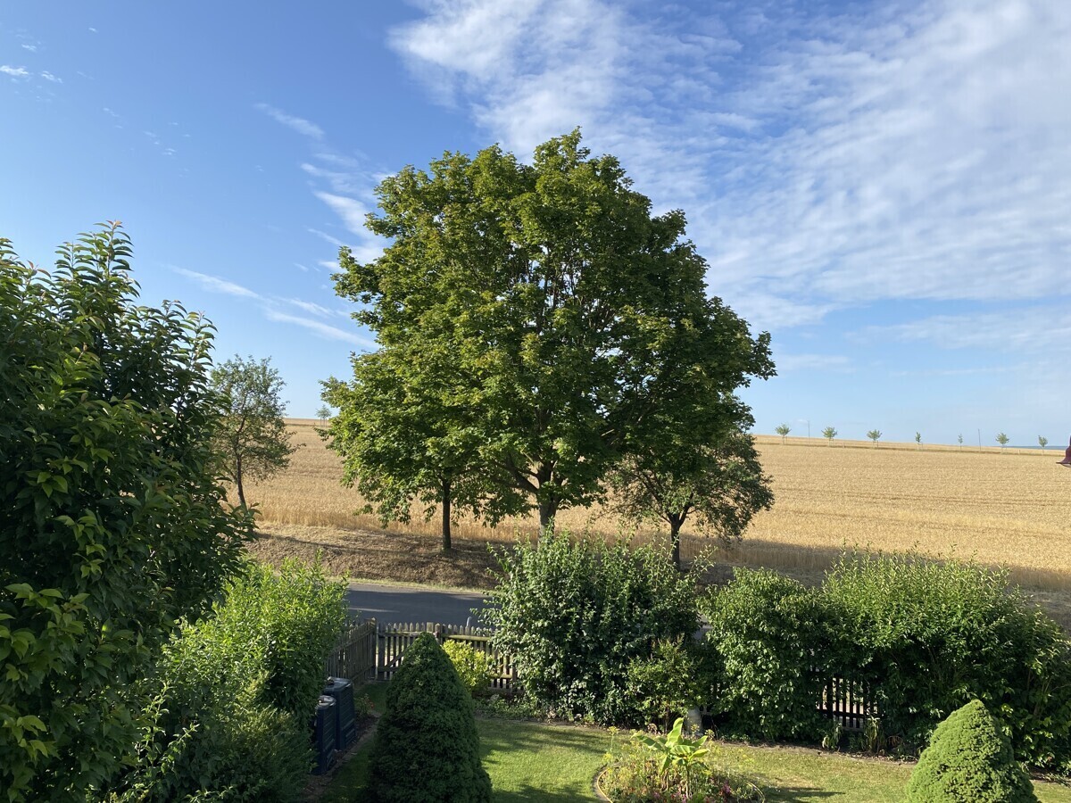 Blick vom Balkon