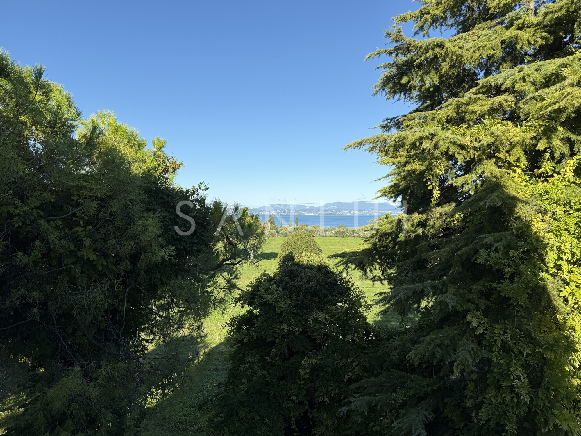 Immobilienbild