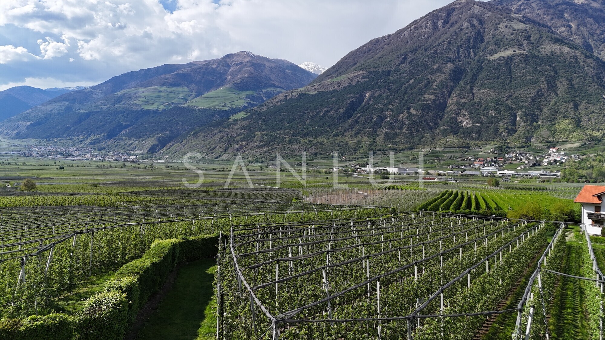 Immagine della proprietà