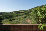 RIF 2879 Panoramanblick von der Terrasse