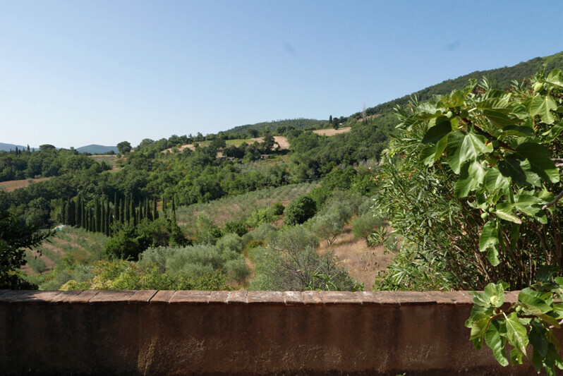 RIF 2879 Panoramanblick von der Terrasse