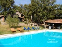 RIF 3045 Pool und Haus