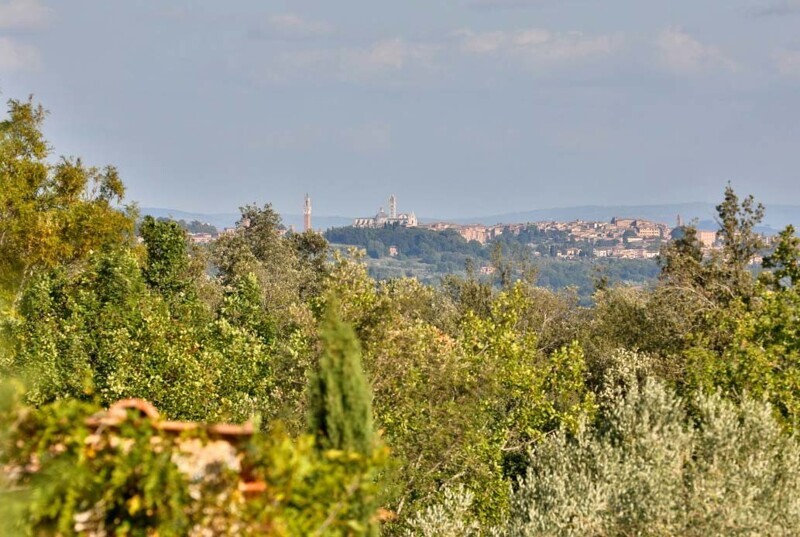 RIF 3070 Blick auf Siena