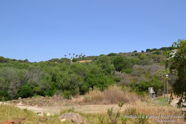 Property picture
