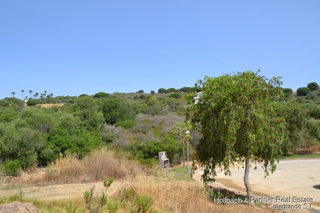 Property picture