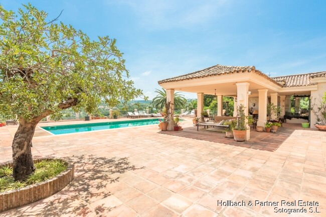 Property picture