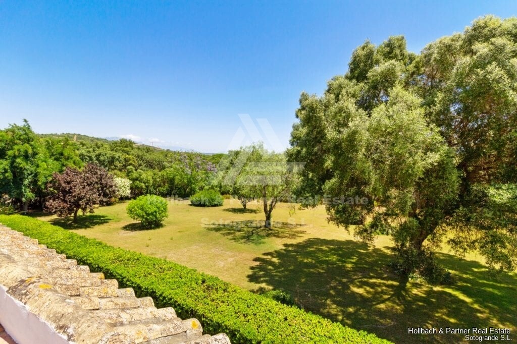 Property picture
